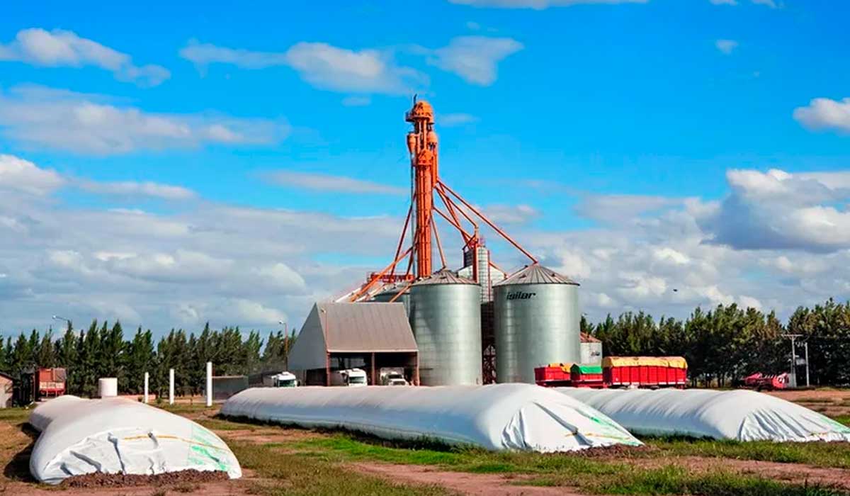 Silo convencional metálico conjugado com silos bolsas