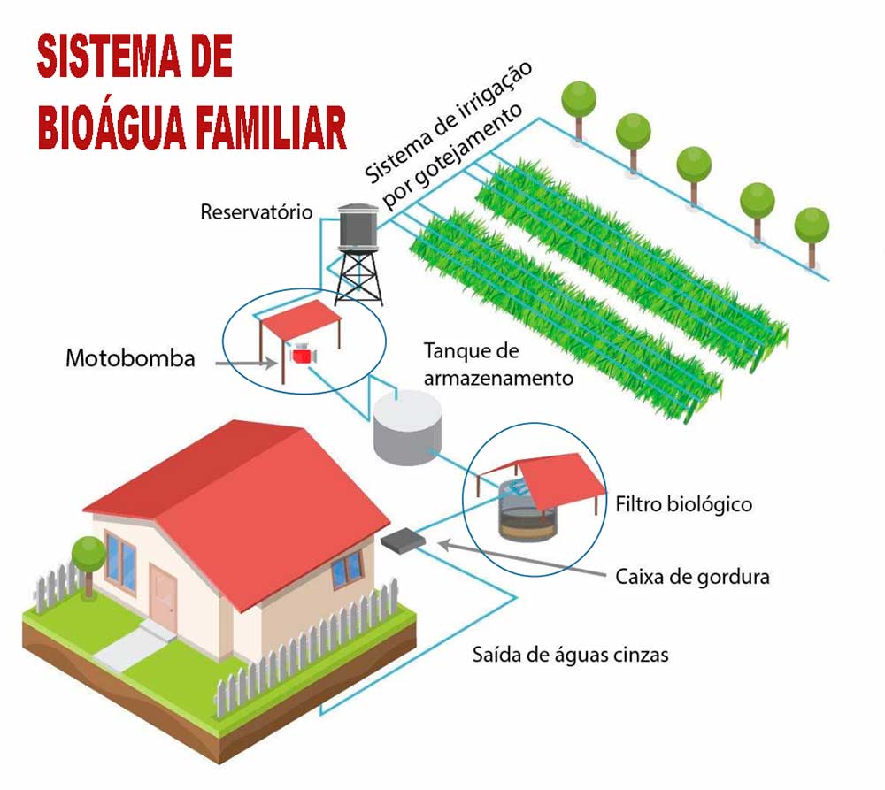 Ilustração do Sistema Bioágua Familiar