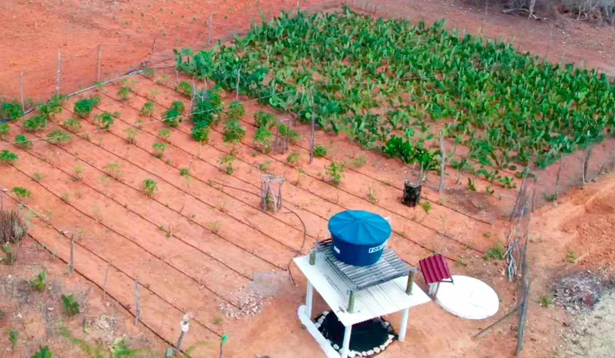 Vista de uma área de produção com o sistema de bioágua familiar