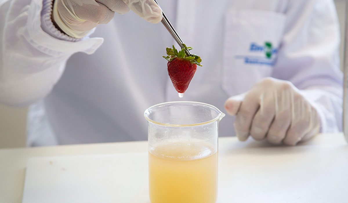Biopolímeros como revestimentos comestíveis protetores para conservação de frutas