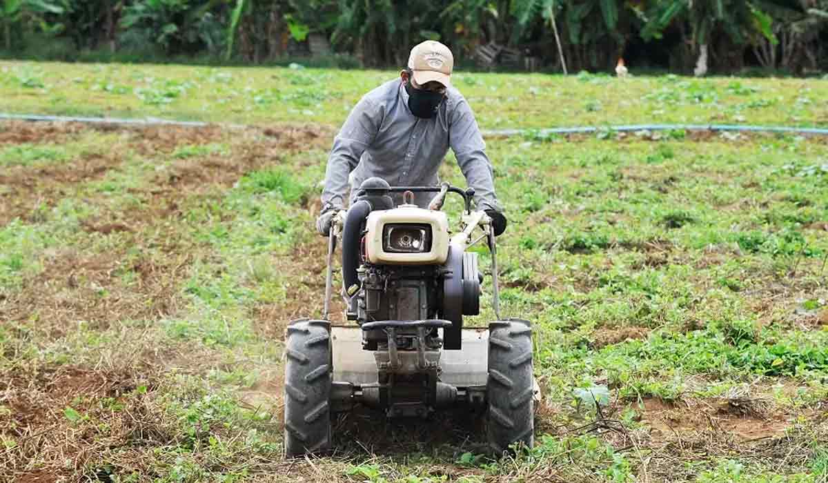 Agricultor familiar operando motocultivador