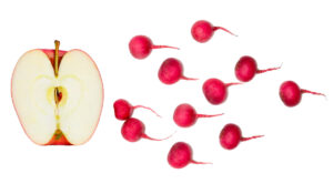 Ilustração de espermatozóides como rabanetes e o óvulo como uma metade de maçã contaminada por agrotóxicos