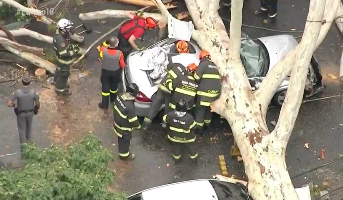 Equipe de resgate socorrendo vítima de uma queda de árvore de grande porte sobre um carro
