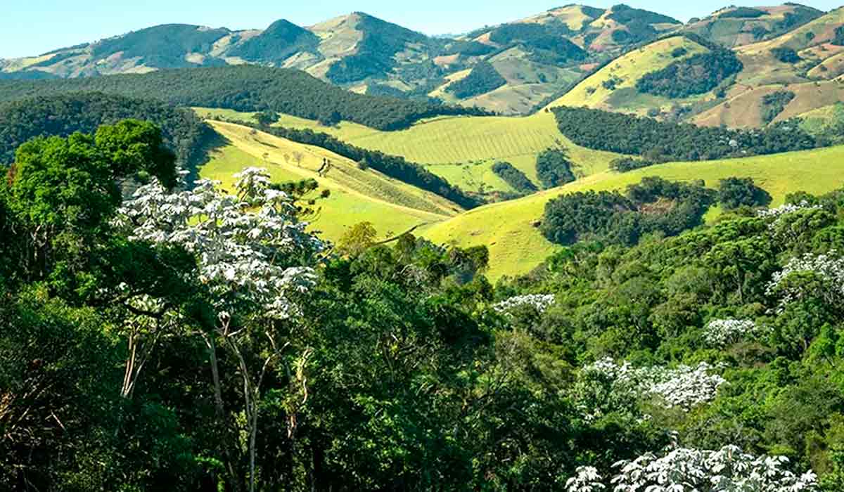 Área da Fazenda Santa Helena em Maria da Fé, MG