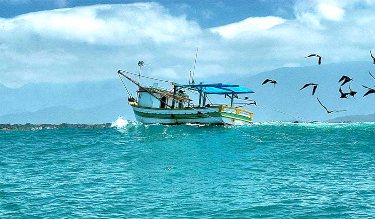 Pesca irregular - Arrasto na arrebentação. Litoral norte de São Paulo