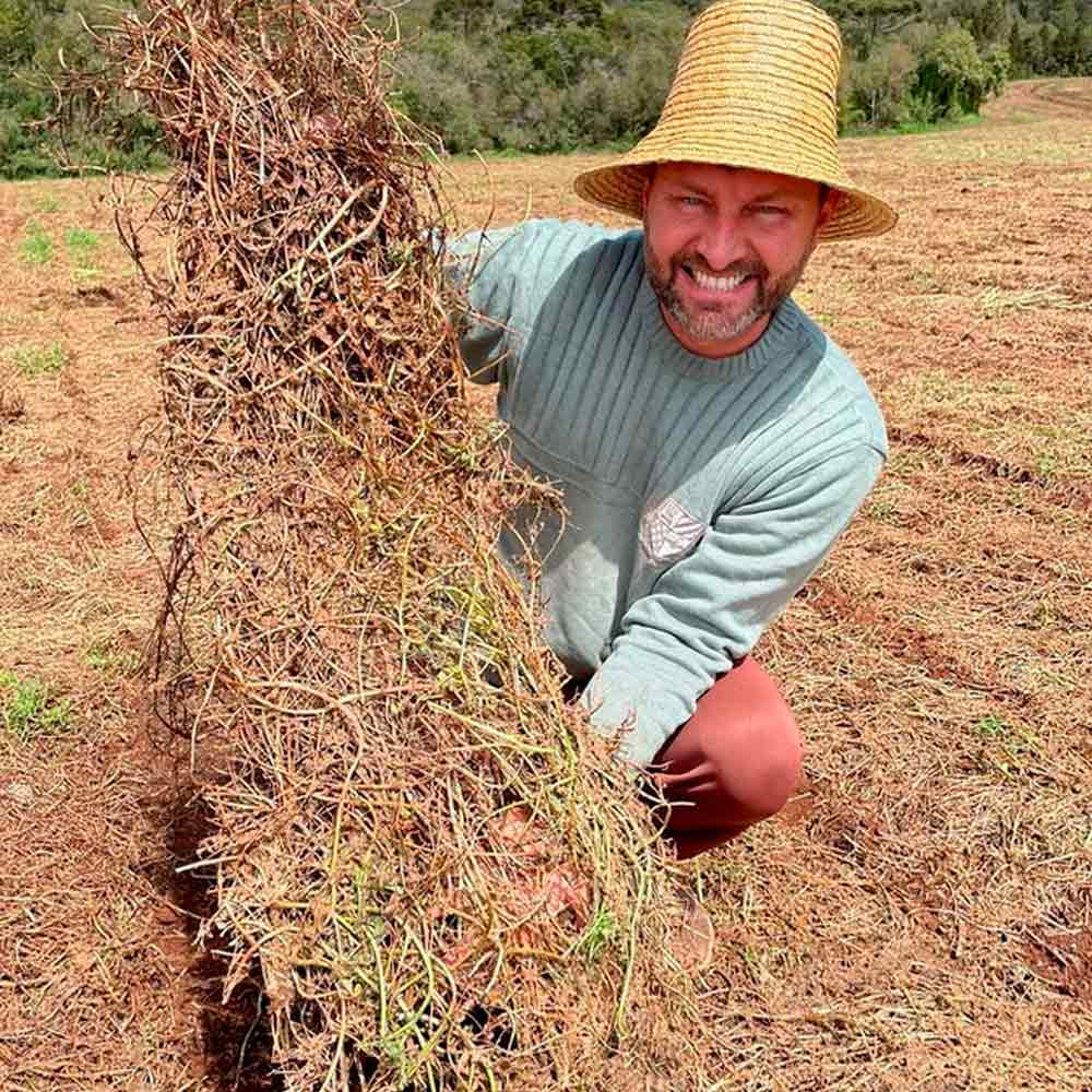 Laércio mostrando a camada de palha bem formada