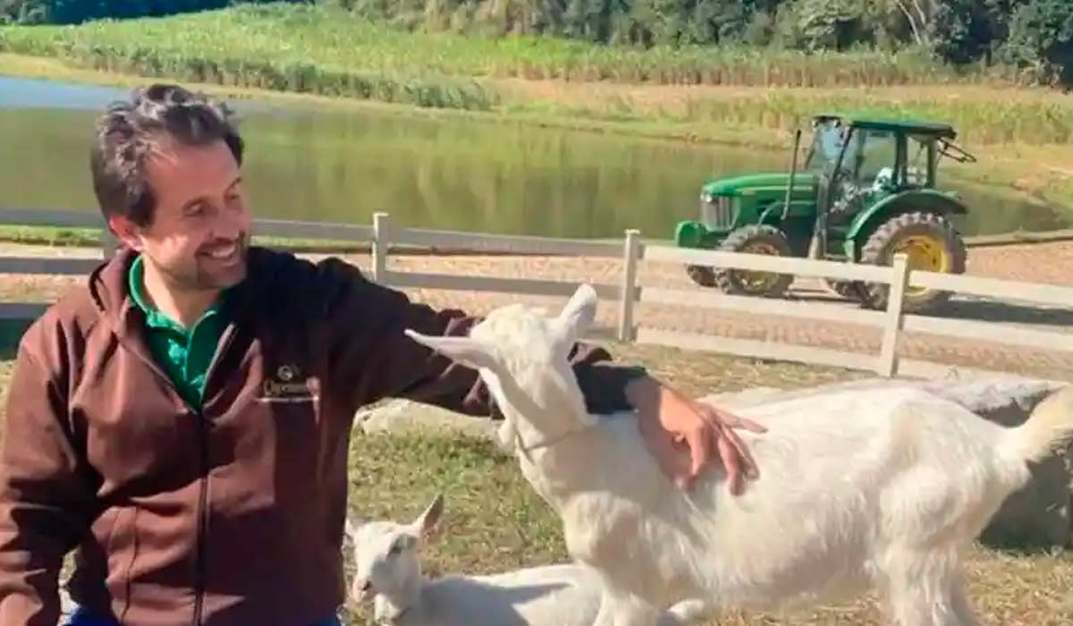 Javier Maciel, fundador da Capriana, com suas cabras