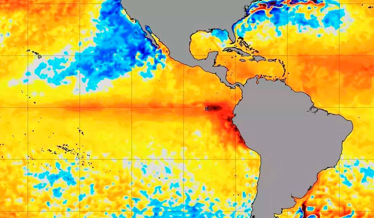 Efeitos do El Niño bem marcantes no Pacífico Equatorial para dezembro