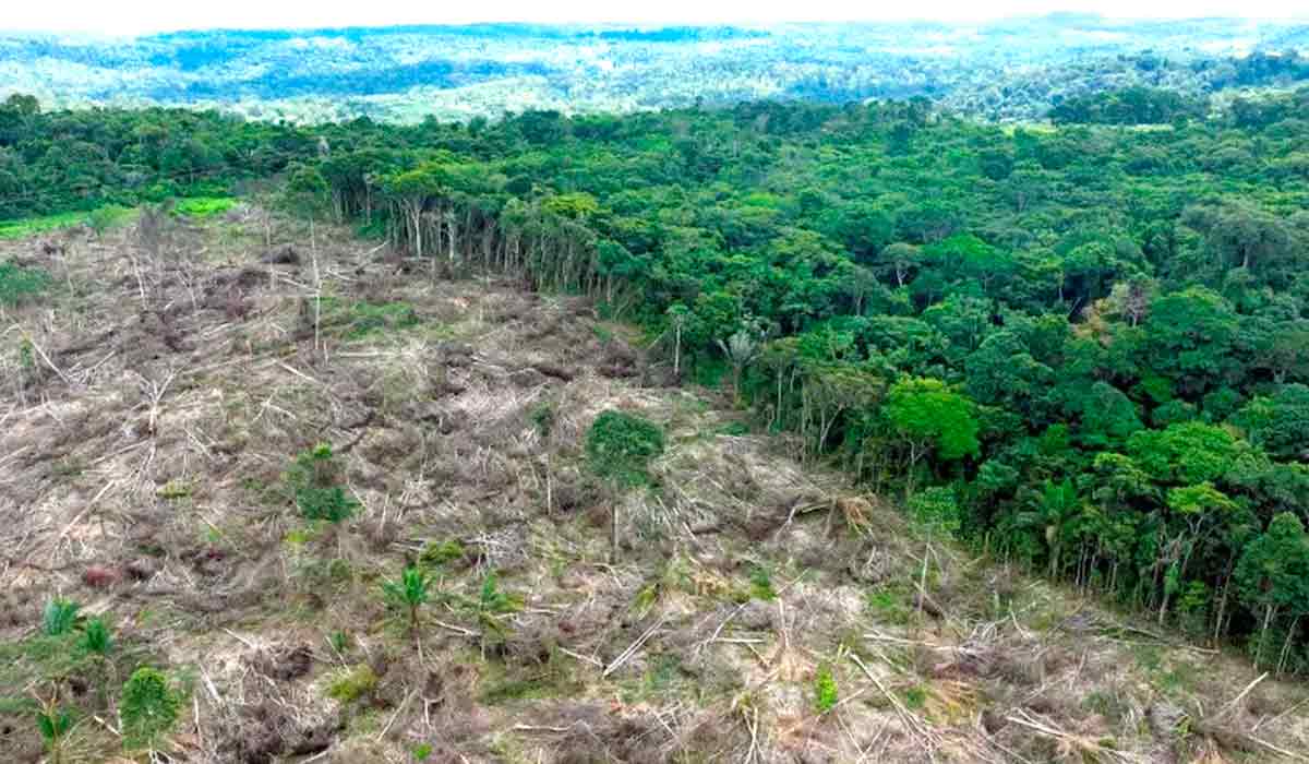 Apenas 2% dos proprietários de terras no país estão relacionados com ilegalidades — Foto: REUTERS/Ueslei Marcelino