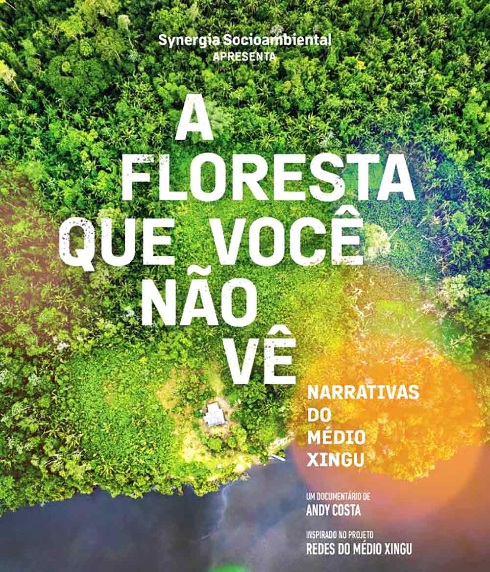 Cartaz do documentário "A floresta que você não vê – Narrativas do Médio Xingu"