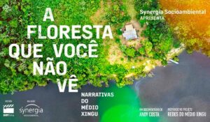 Cartaz do documentário "A floresta que você não vê – Narrativas do Médio Xingu"