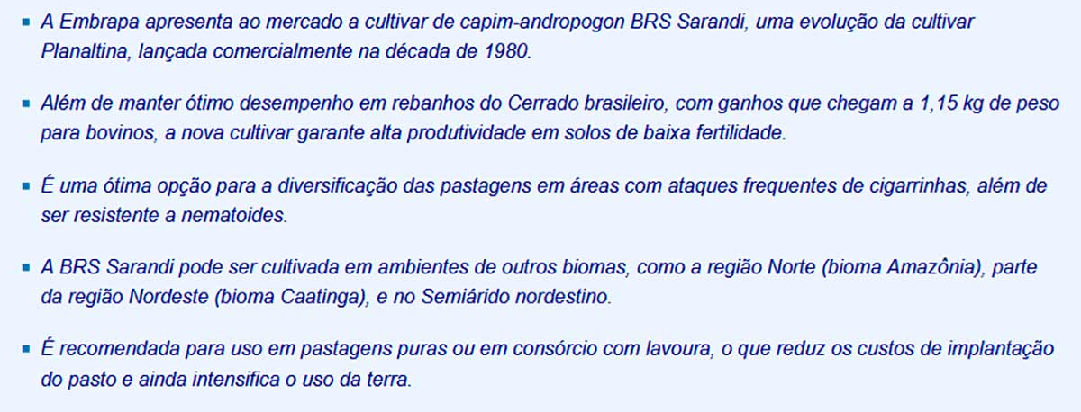 Resumo sobre a nova cultivar de capim andropogon BRS Sarandi