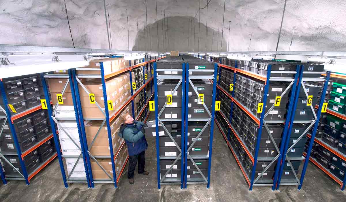Interior do estoque no Svalbard Global Seed Vault - Cofre Global de Sementes