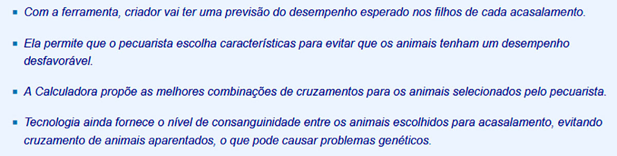 Resumo sobre a calculadora