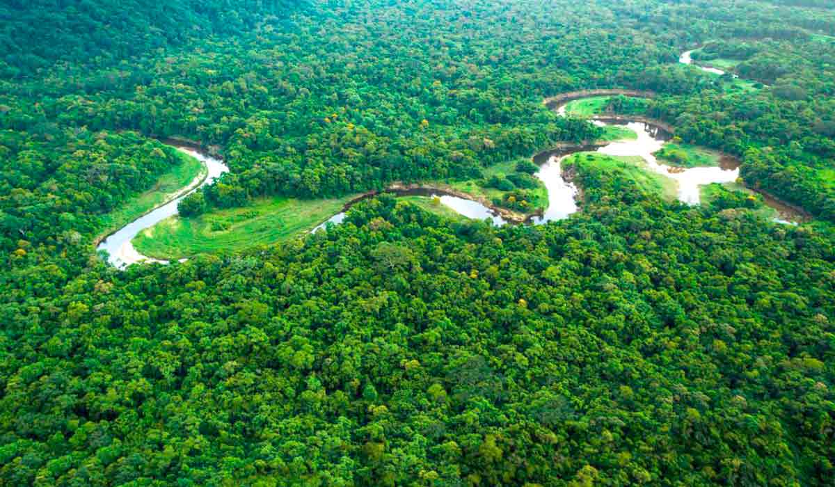 Bioma amazônico