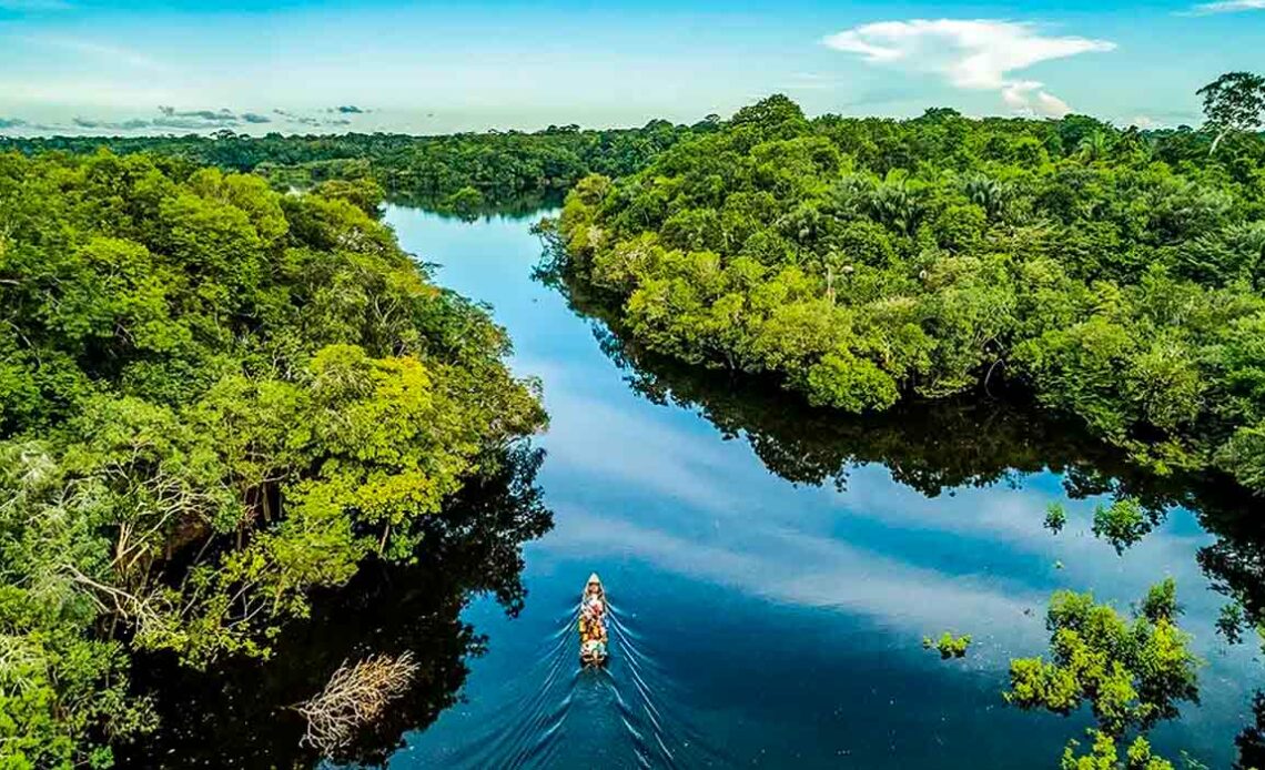 Floresta Amazônica