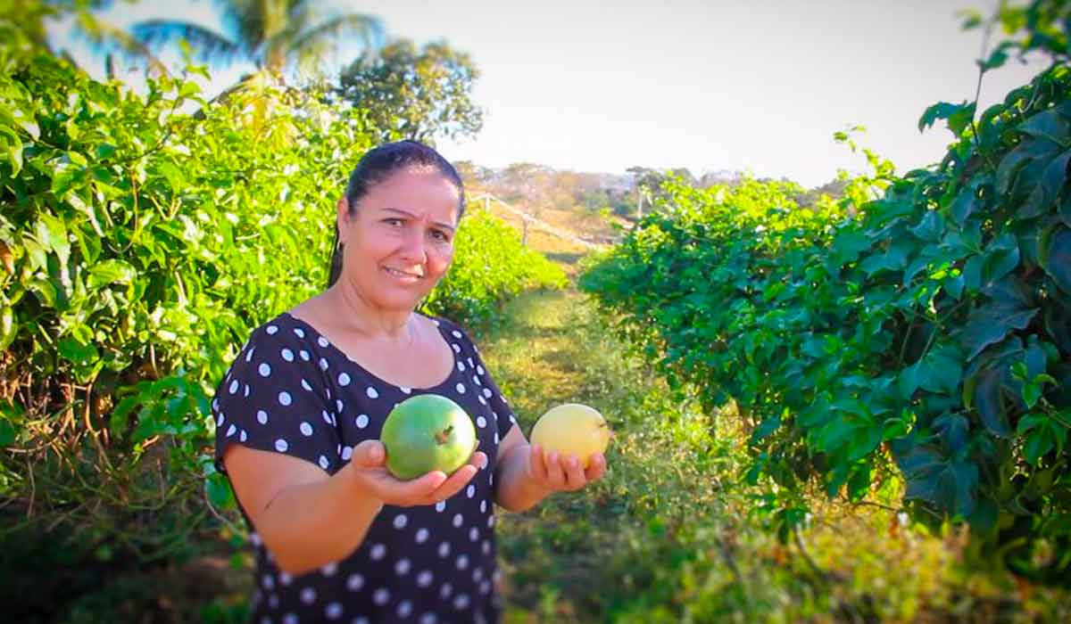 Ângela produz maracujá no município de Nova Brasilândia e já pretende expandir a área de produção - Foto: Lucas Diego/Seaf-MT