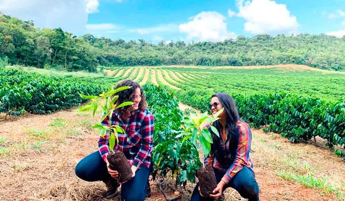 Fazenda dirigida por mulheres