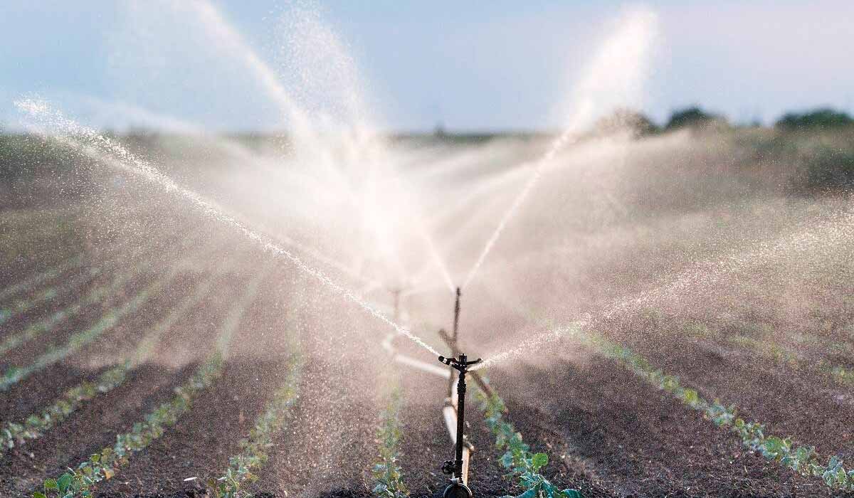 Irrigação por aspersão