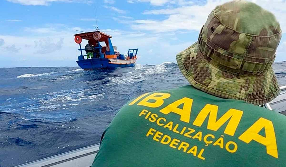 Fiscalização do IBAMA