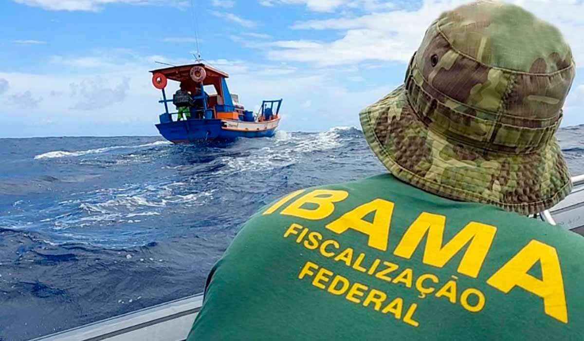 Fiscalização do IBAMA