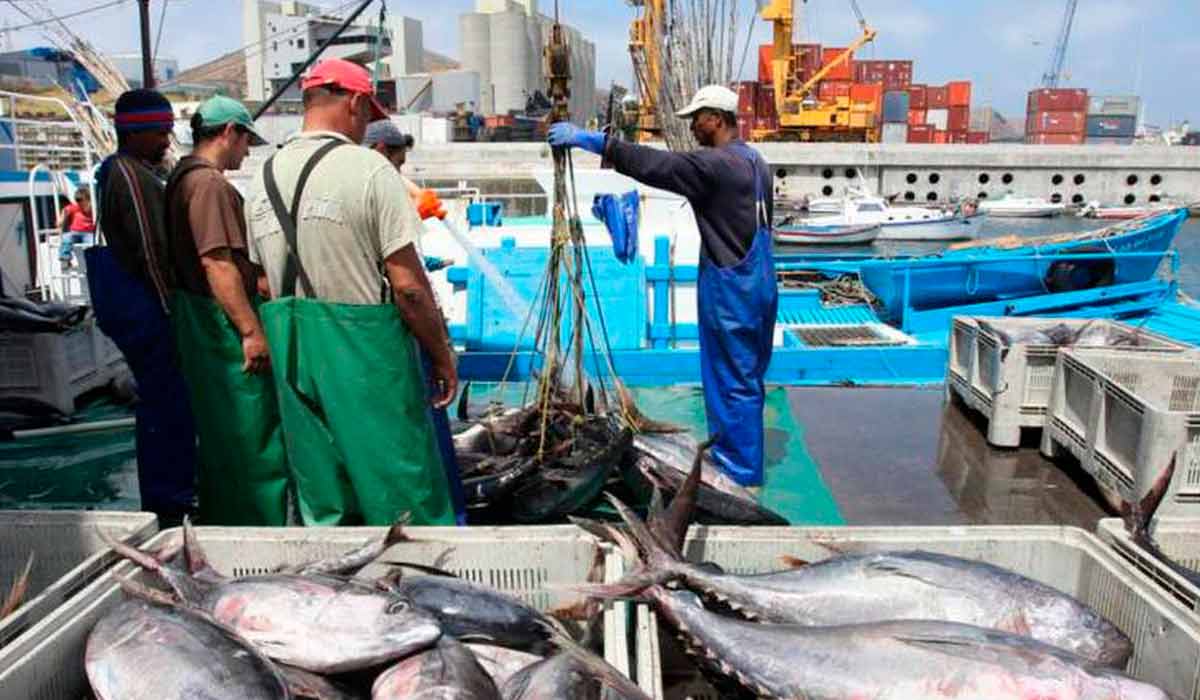 Pescadores descarregando o resultado da pesca