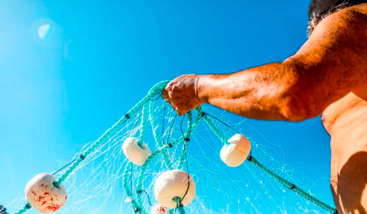 Pescador artesanal recolhendo a rede