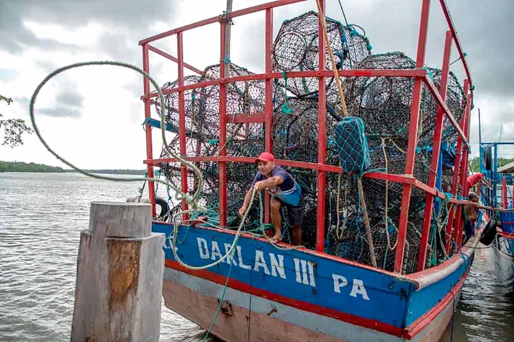 Embarcação carregada de manzuás (armadilhas) utilizadas na pesca do pargo, em Augusto Corrêa (PA). Foto: Christian Braga/Oceana