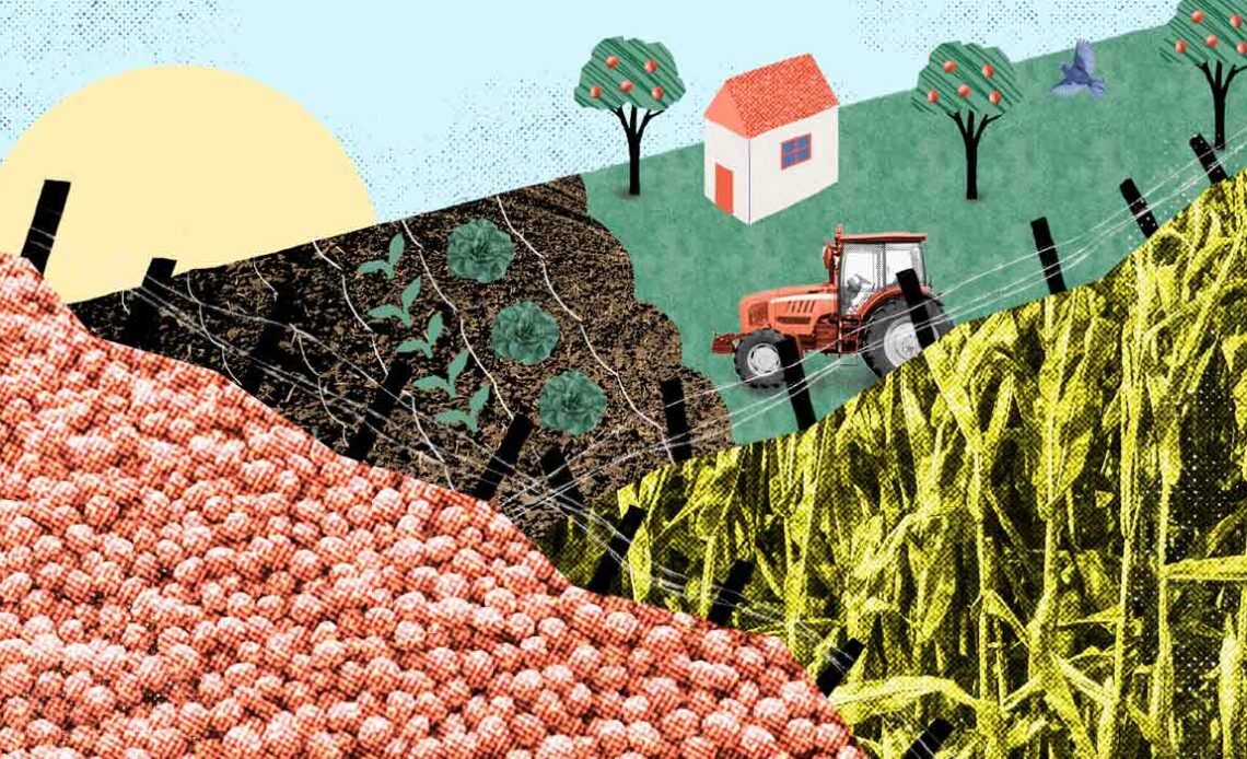 Ilustração produção rural no Paraná