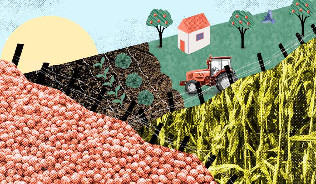 Ilustração produção rural no Paraná