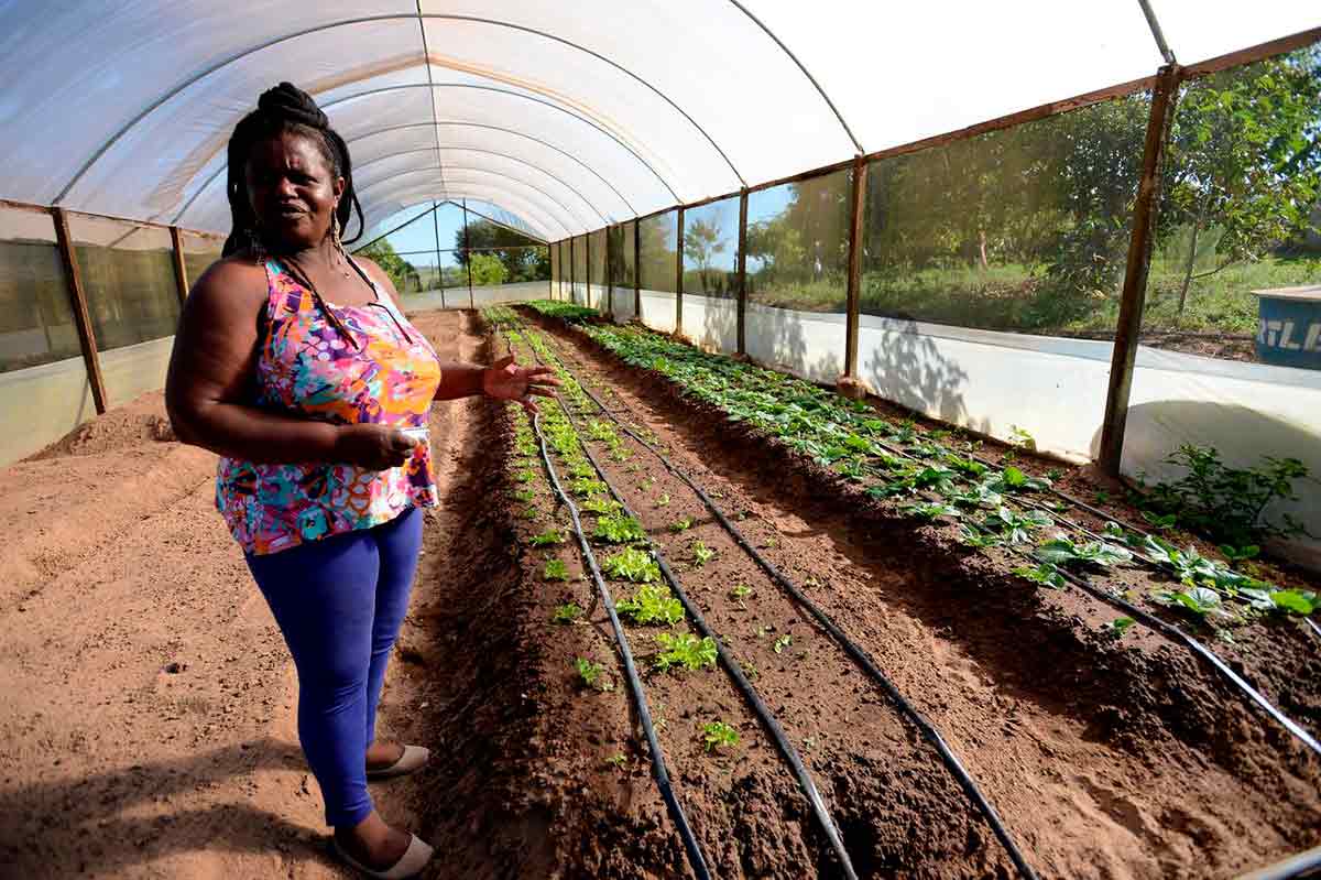 Líder quilombola do Cafundó, Regina Aparecida Pereira, numa das estufas - Foto: Erick Pinheiro