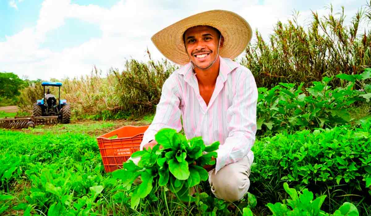 Alex Aguiar lidera os avanços tecnológicos na prática agrícola do Quilombo Cafundó