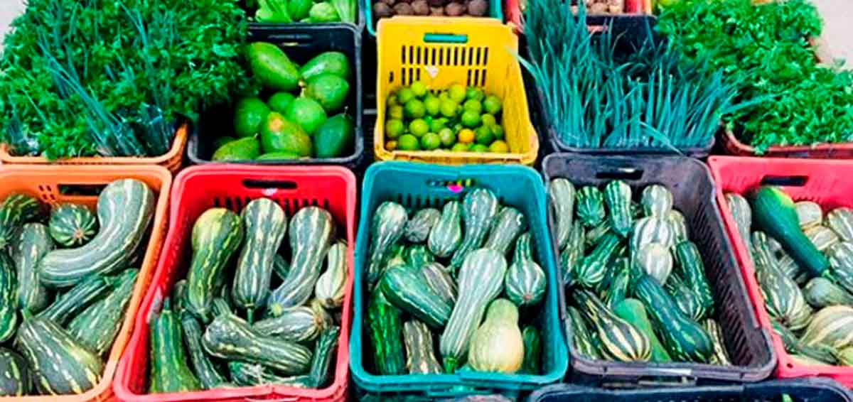 Produtos orgânicos do Quilombo Cafundó