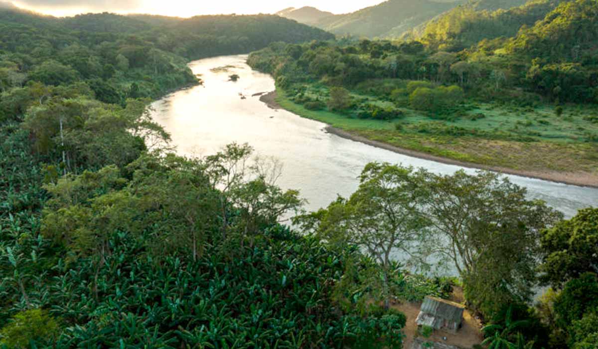 Amanhecer no bananal de Antônio e Adan Pereira, na margem esquerda do Rio Ribeira de Iguape, no Quilombo Sapatu - Foto: Fellipe Abreu