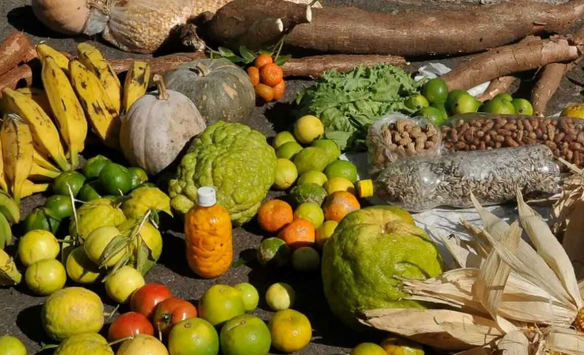 Produção agrícola dos quilombos do Vale do Ribeira-SP