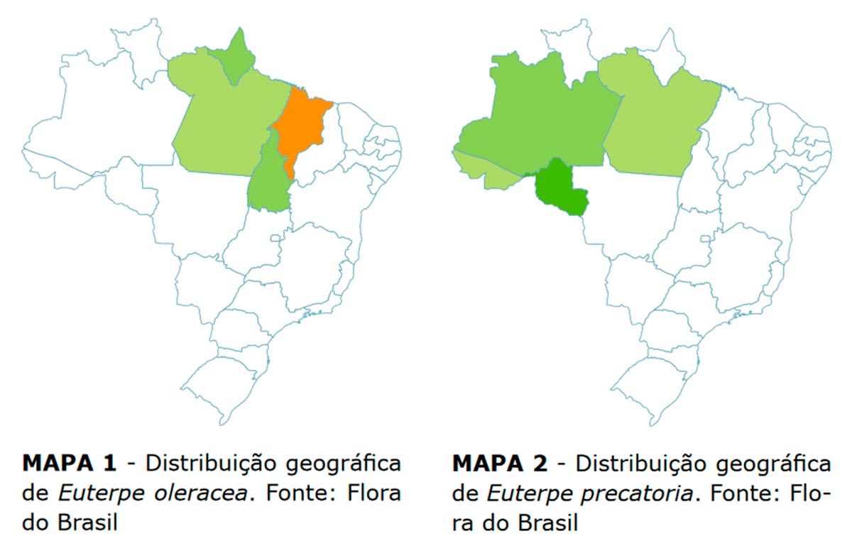 Mapas de ocorrência das espécies de açaí