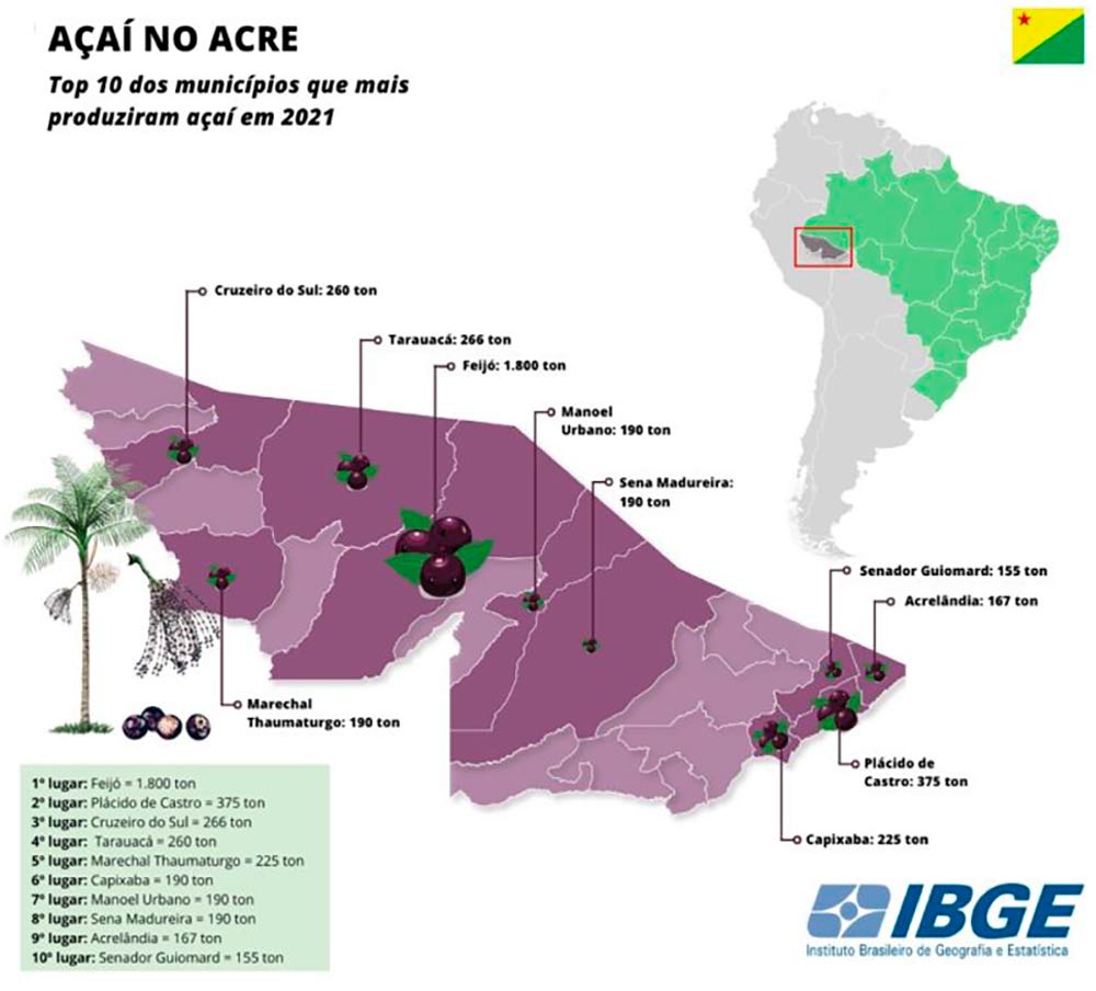 Os 10 municípios que mais produziram açaí em 2021 no Acre