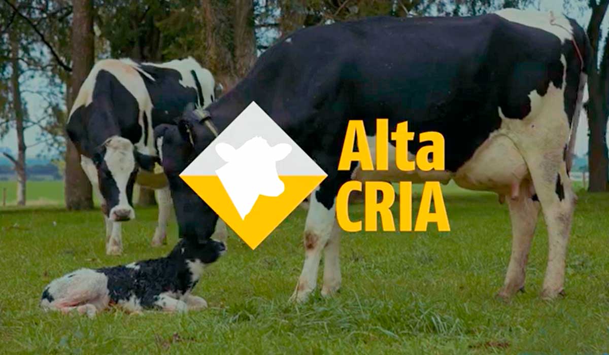 Programa Alta Cria