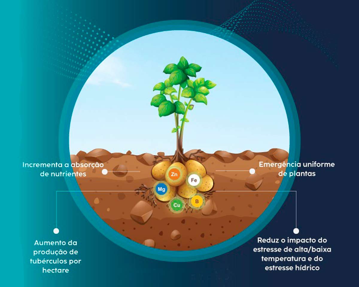 Benefícios do bioestimulante