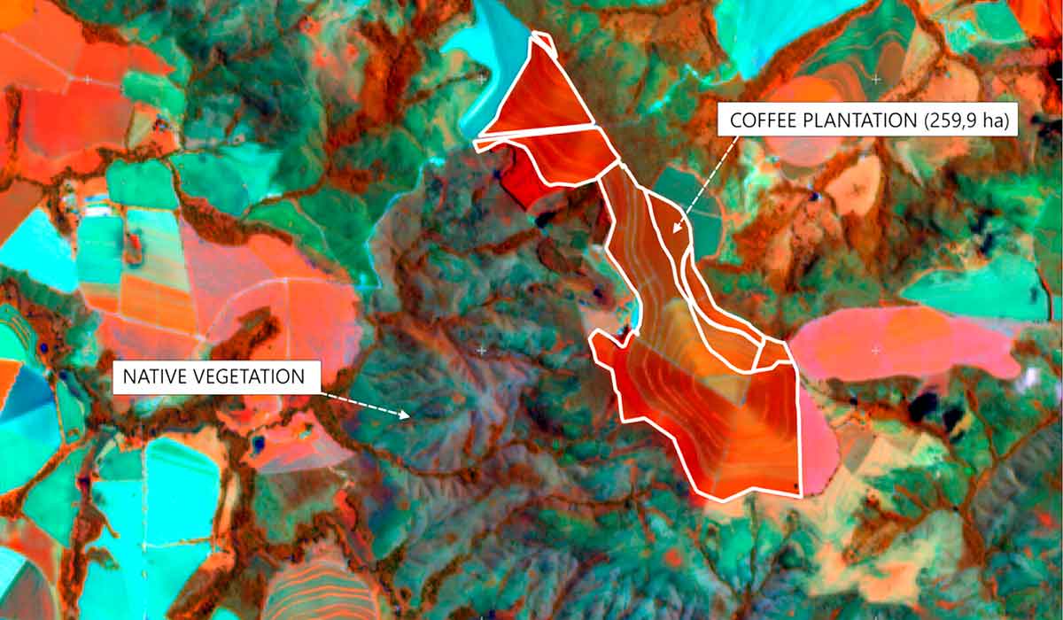 Monitoramento da Plataforma de Rastreabilidade Cafés do Brasil