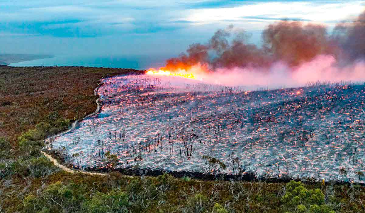 Desmatamento da amazônia com queimada