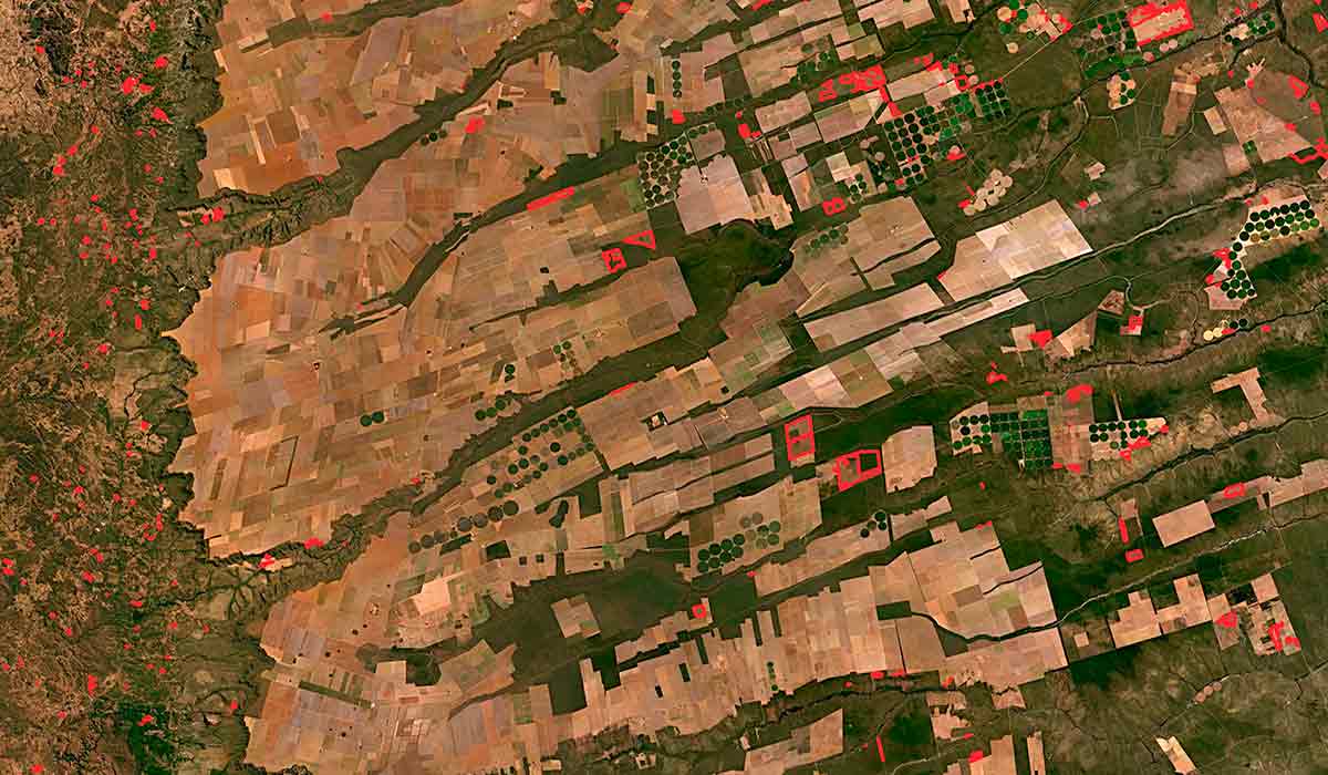 Imagem do satélite Sentinel-2, da Agência Espacial Europeia, utilizada para as análises do SAD Cerrado