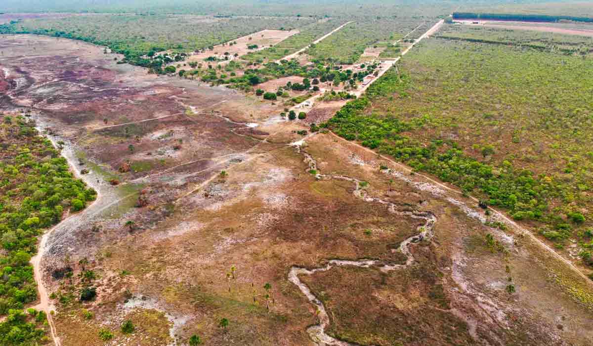 Vista aérea de área de cerrado desmatada