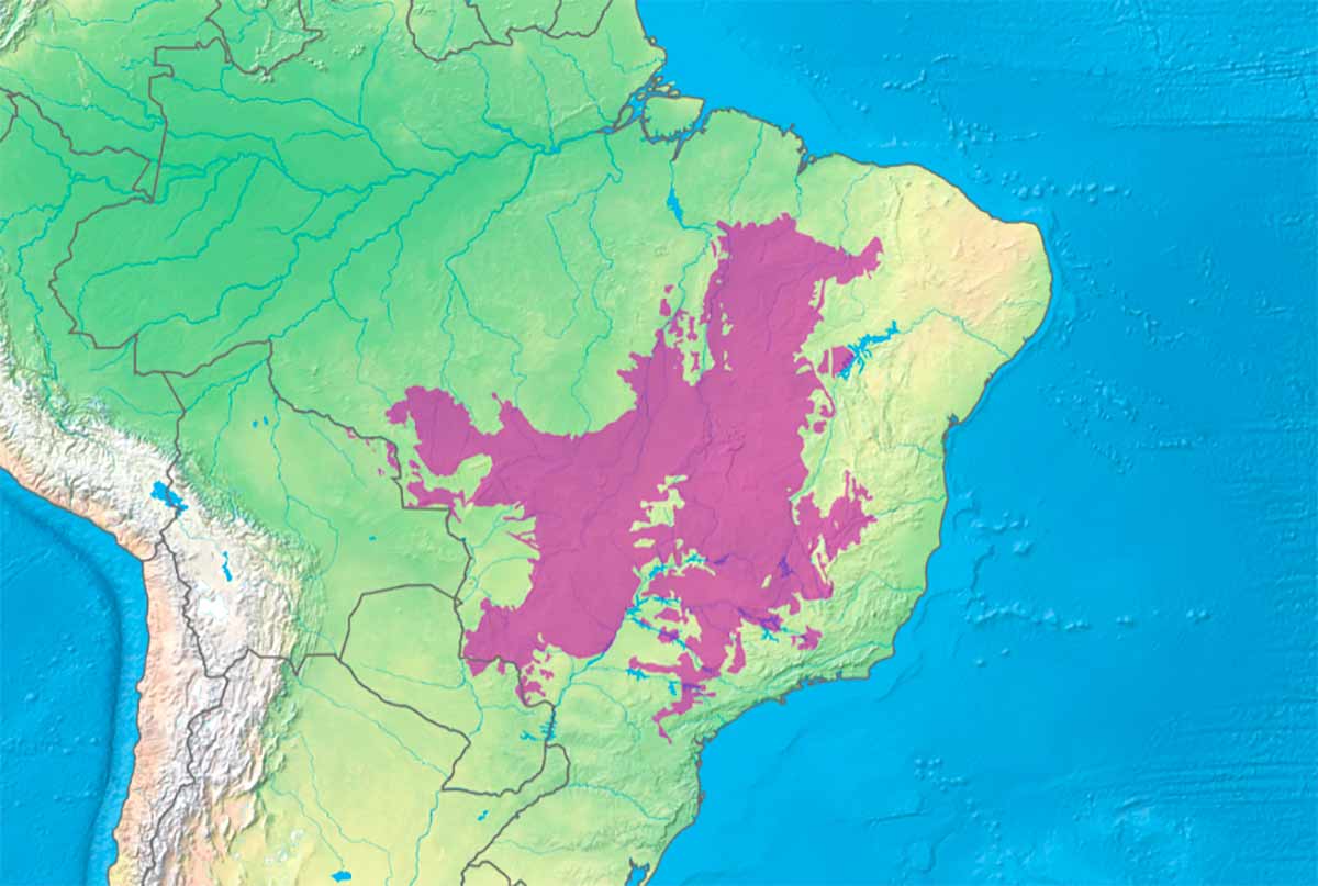 Cerrado - possui 2.036.448 km2 de extensão. Corresponde a 24% do território brasileiro e abrange os estados da Bahia, Goiás, Maranhão, Minas Gerais, Mato Grosso, Mato Grosso do Sul, Piauí, Paraná, Rondônia, São Paulo, Tocantins e o Distrito Federal
