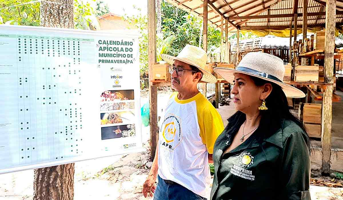 A presidente da Cooperativa de Trabalho dos Agricultores Familiares do Município de Primavera (Cooprima), Joelma Nunes e o meliponicultor Joaquim de Aviz Silva