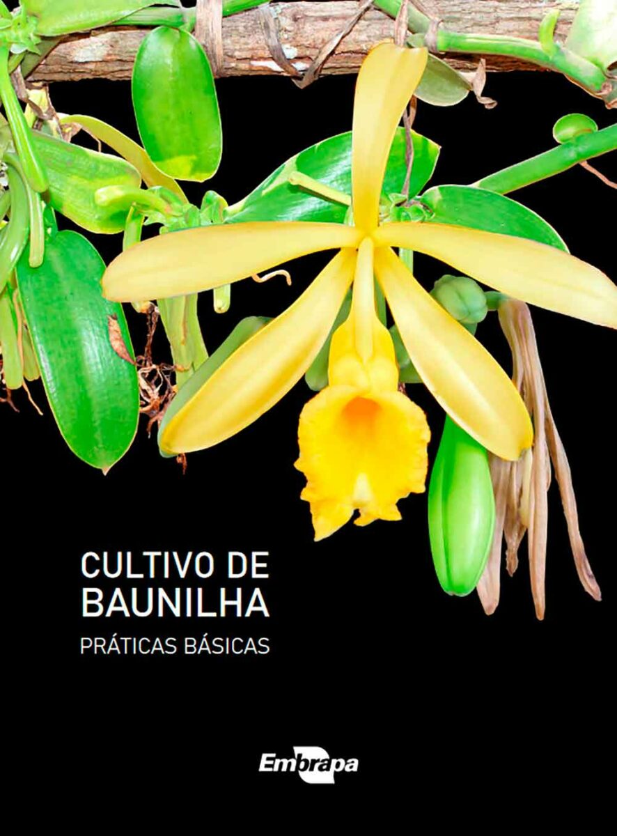 Baunilha em floração