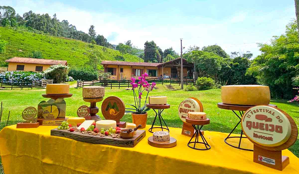 Mesa com os queijos premiados da Velho Pitta