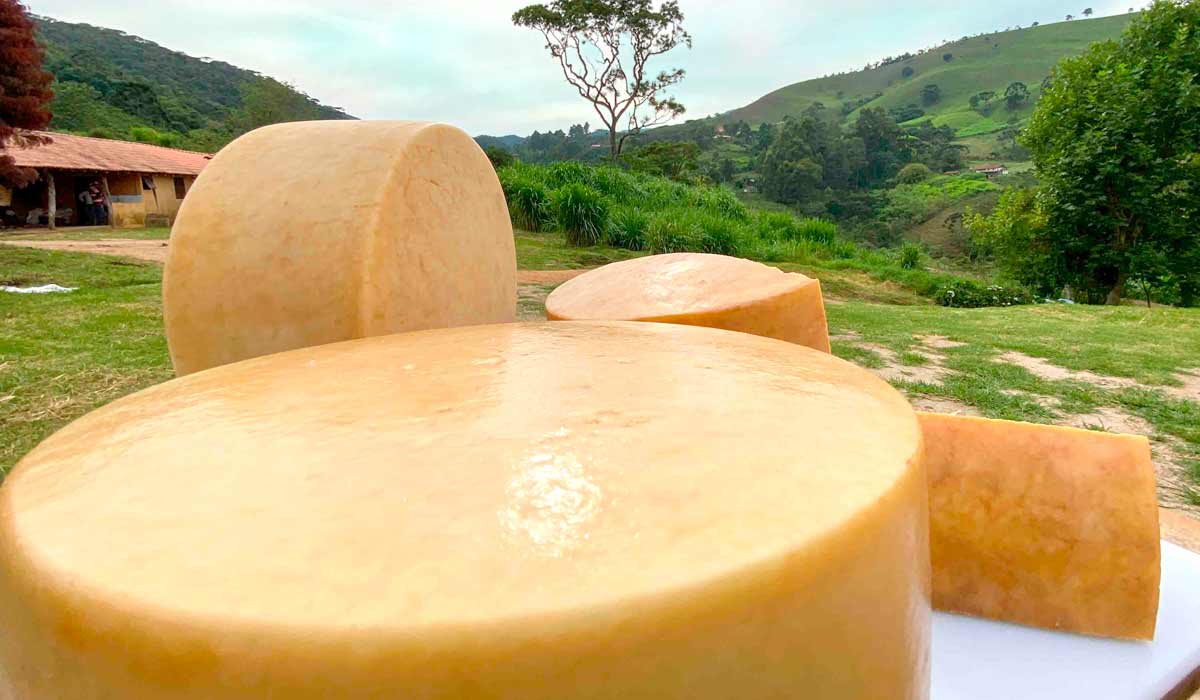 Queijo Artesanal da Mantiqueira de Minas remete ao italiano Parmigiano Reggiano