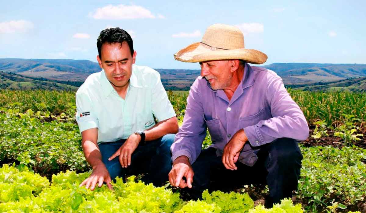 Técnico da Emater-MG em campo junto ao agricultor familiar