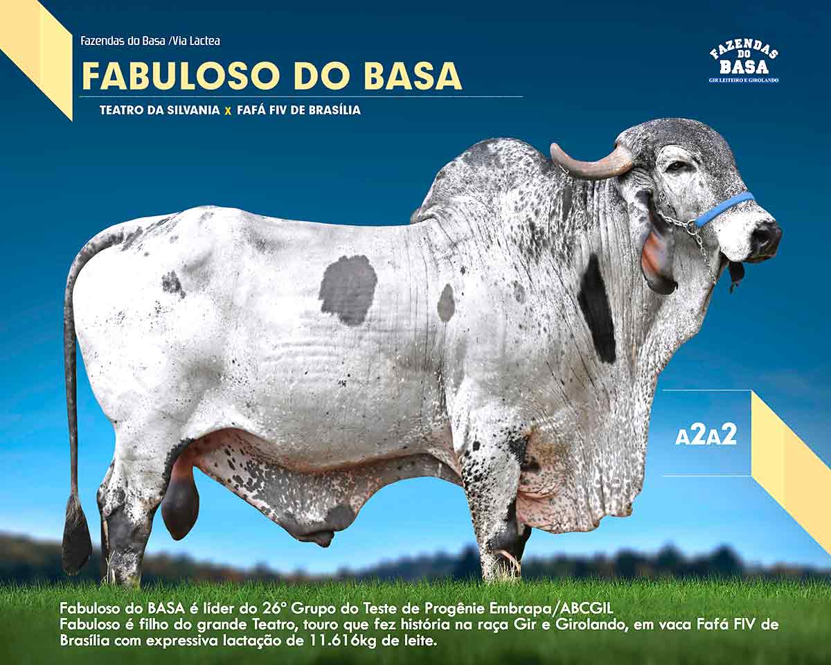 Fabuloso do Basa